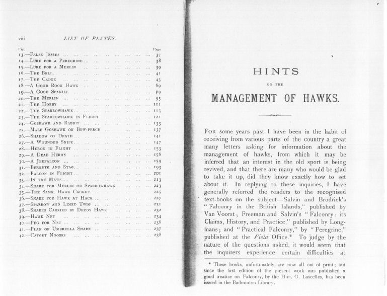 hints5
